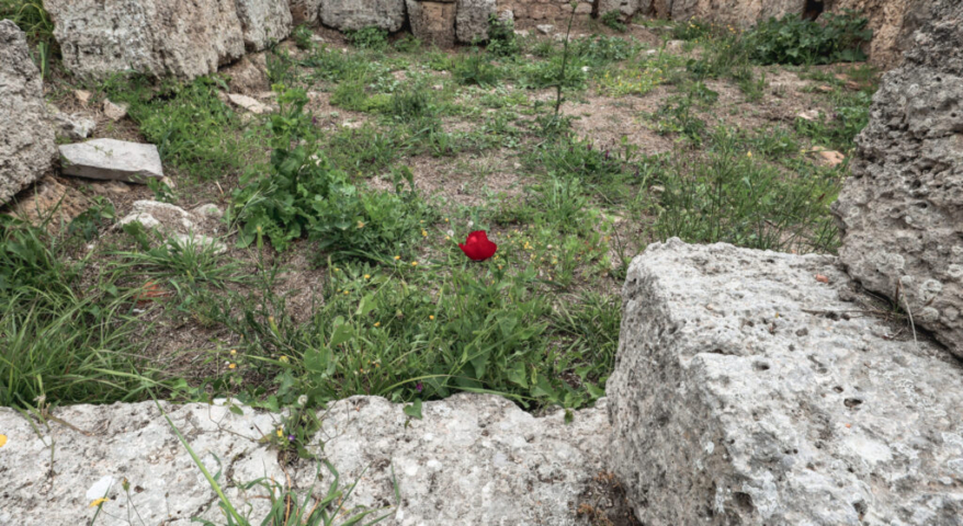 Acrocorinth