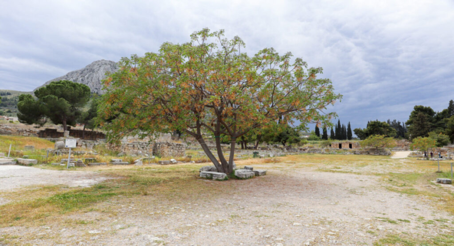 Acrocorinth