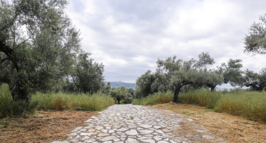 Acropolis of Ancient Sparta