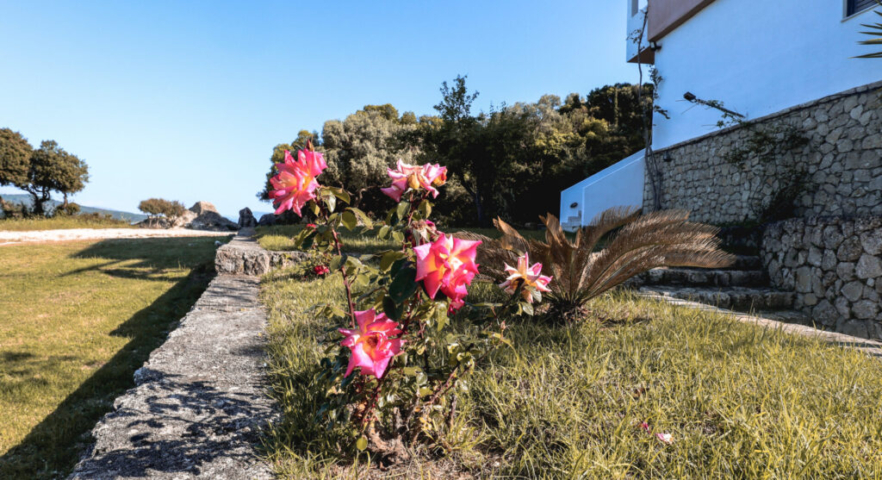 Hotel Porto Lygia