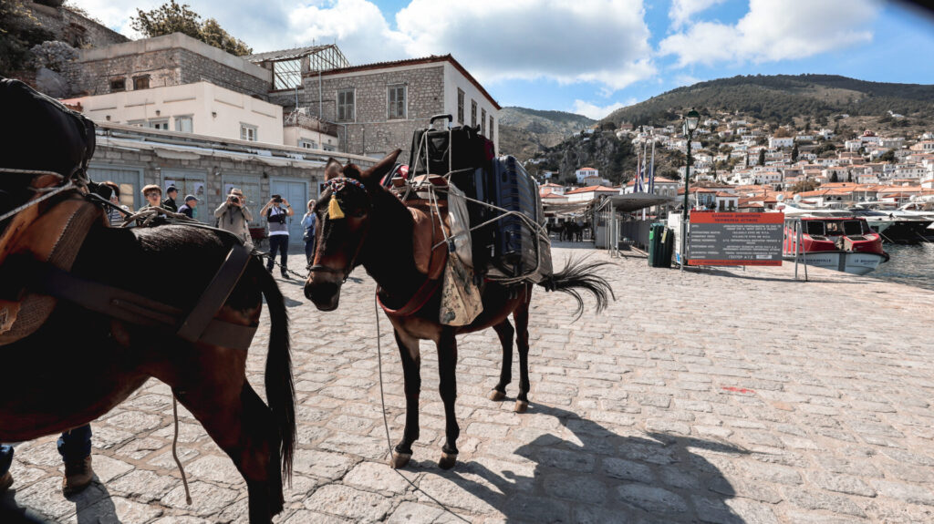 Hydra Island