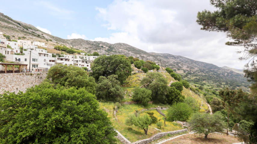 Apeiranthos Village