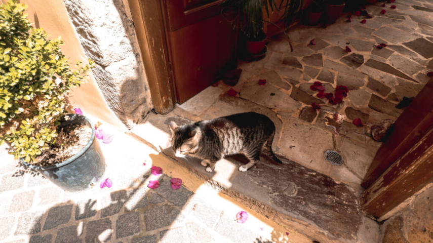 Old Town Chania