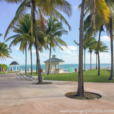 Grand Lucayan Bahamas