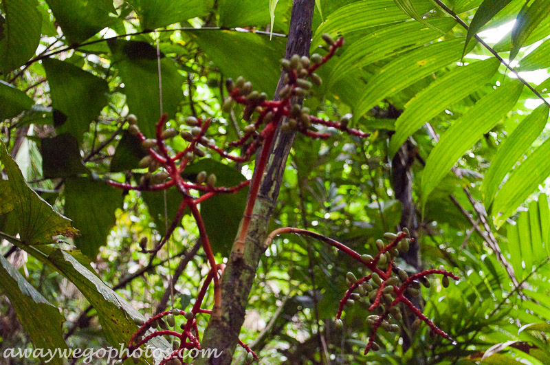 Costa Rica