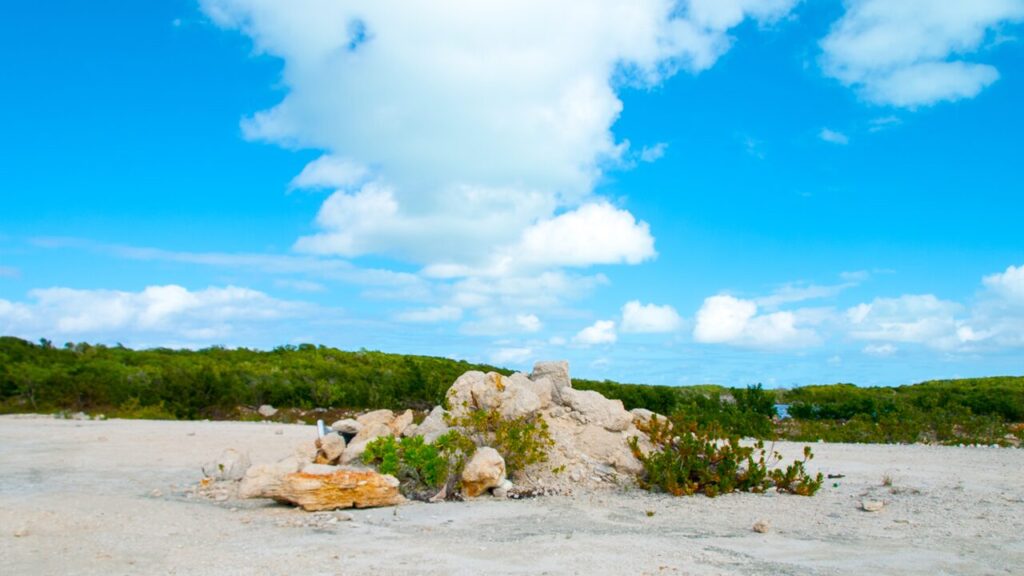 Turks and Caicos Islands