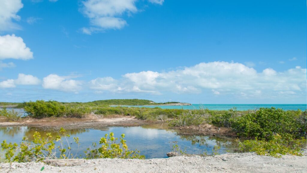 Turks and Caicos Islands