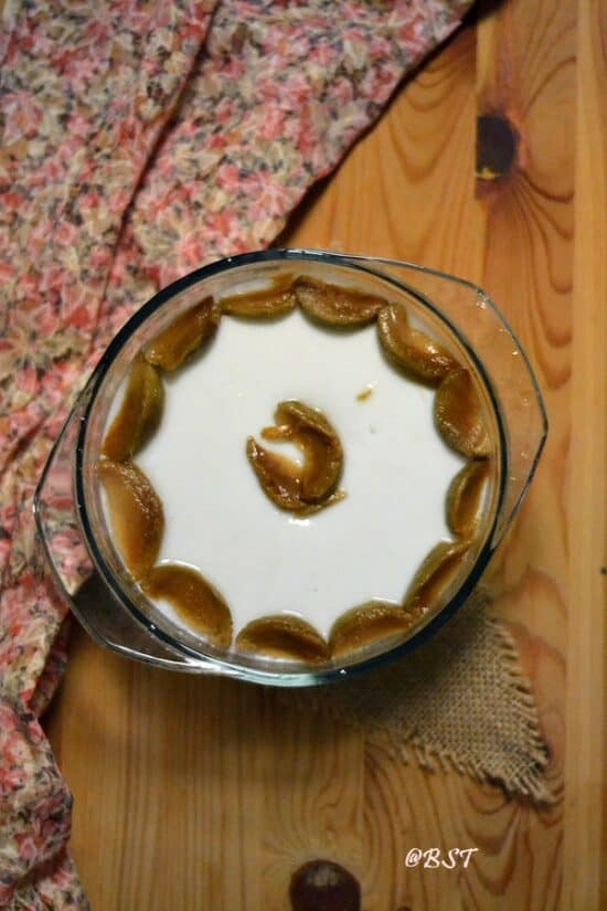 Sapodilla Pudding