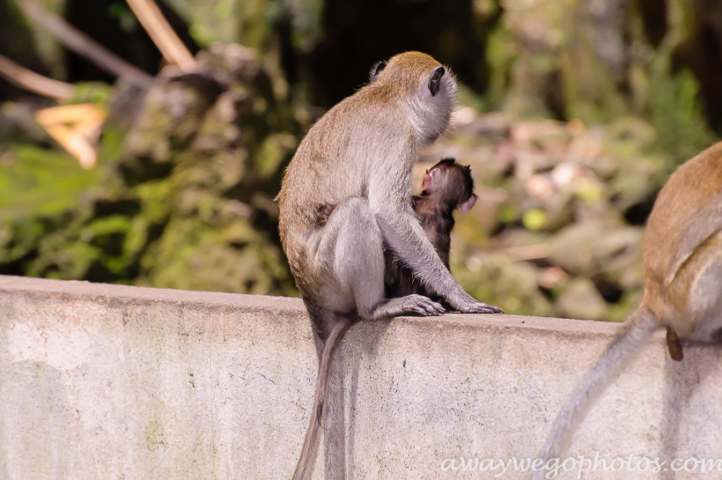 Batu Caves