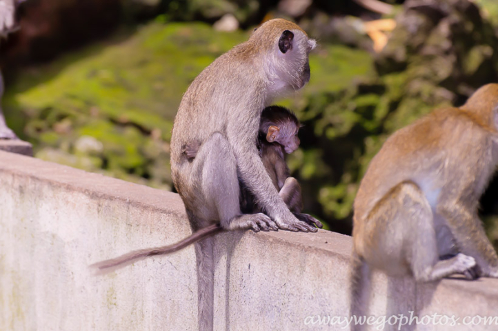 Batu Caves