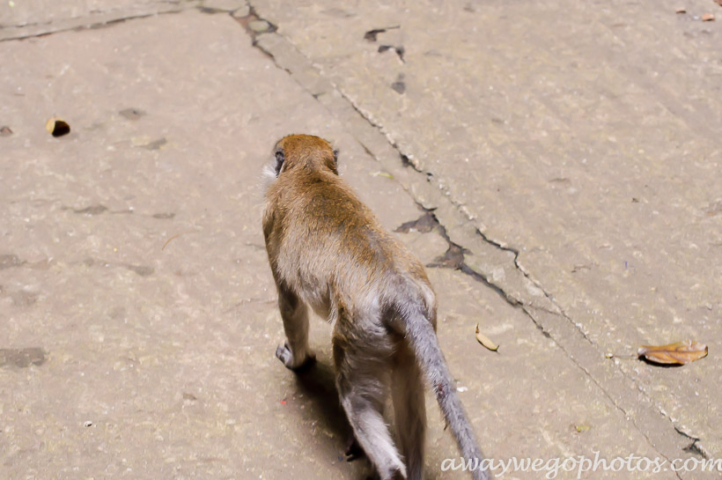 Batu Caves