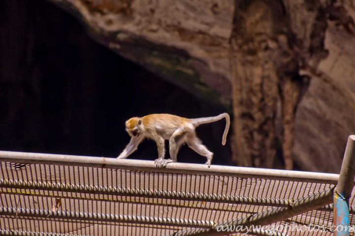 Batu Caves