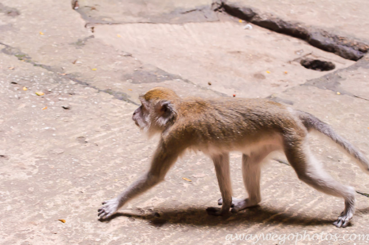 Batu Caves