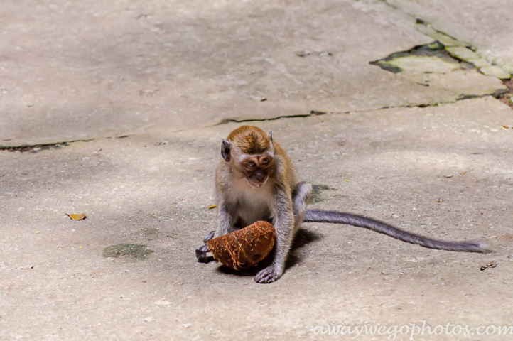 Batu Caves