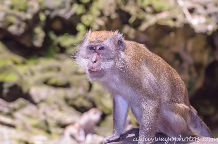 Batu Caves