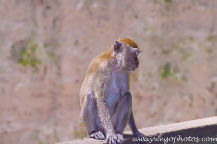 Batu Caves