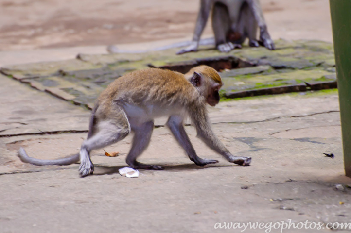 Batu Caves