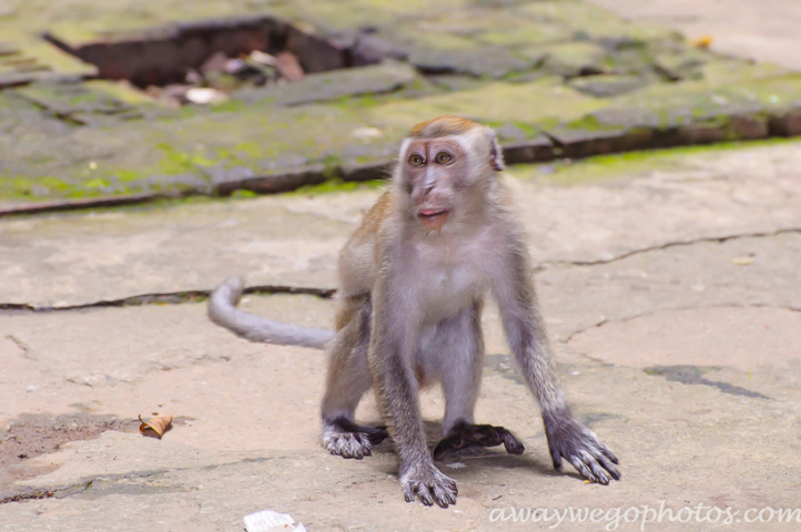 Batu Caves