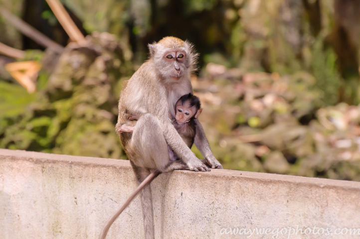 Batu Caves