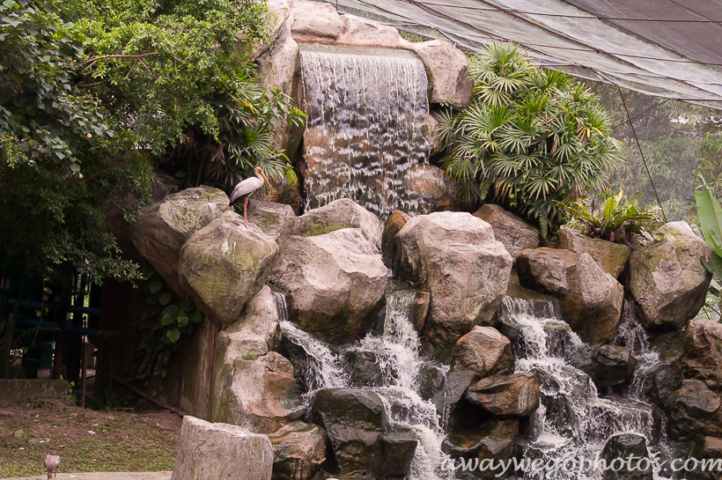 Malaysia birds park