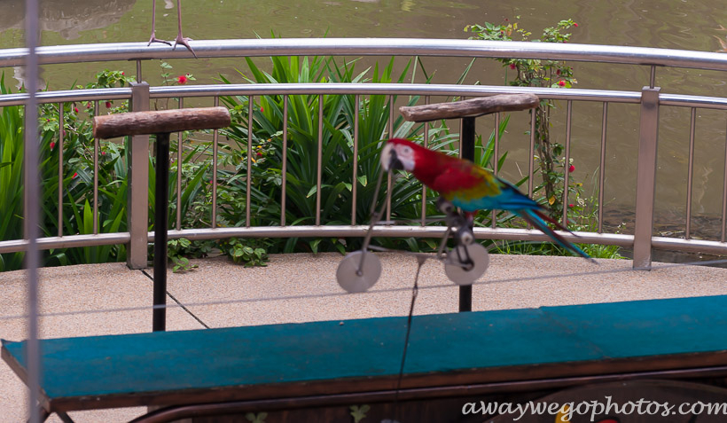 Malaysia birds park