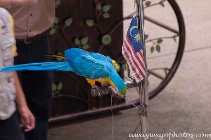 Malaysia birds park