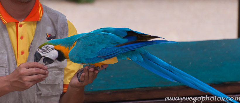 Malaysia birds park