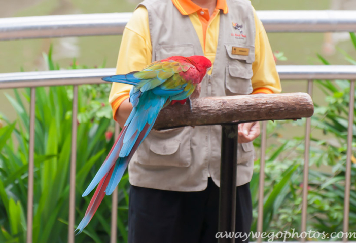 Malaysia birds park