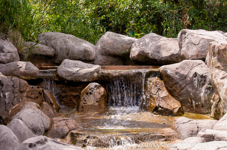 Malaysia birds park