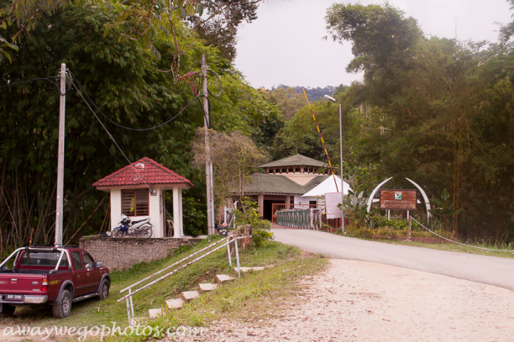 Malaysia elephant