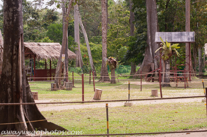 Malaysia elephant