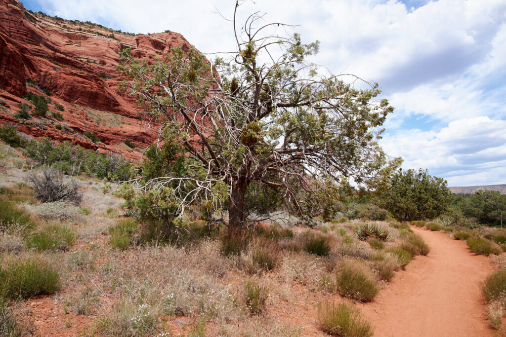 Courthouse butte