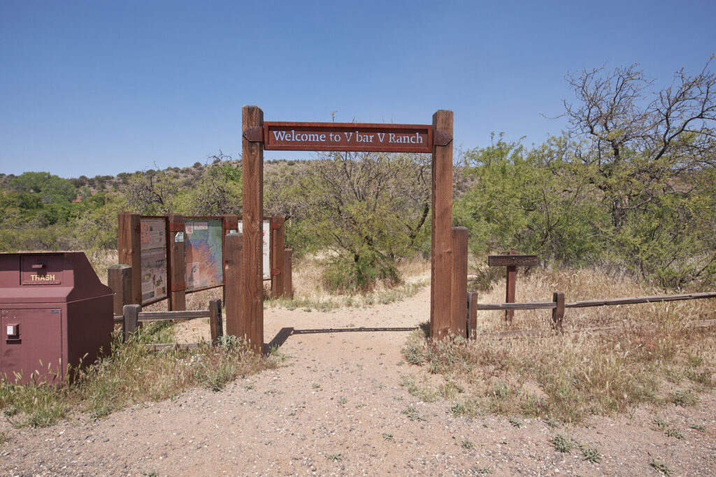 Crane petroglyph (v bar v ranch)