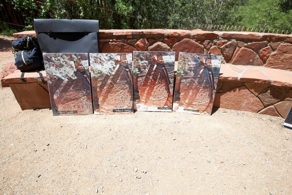 Crane petroglyph (v bar v ranch)