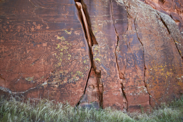 Crane petroglyph (v bar v ranch)