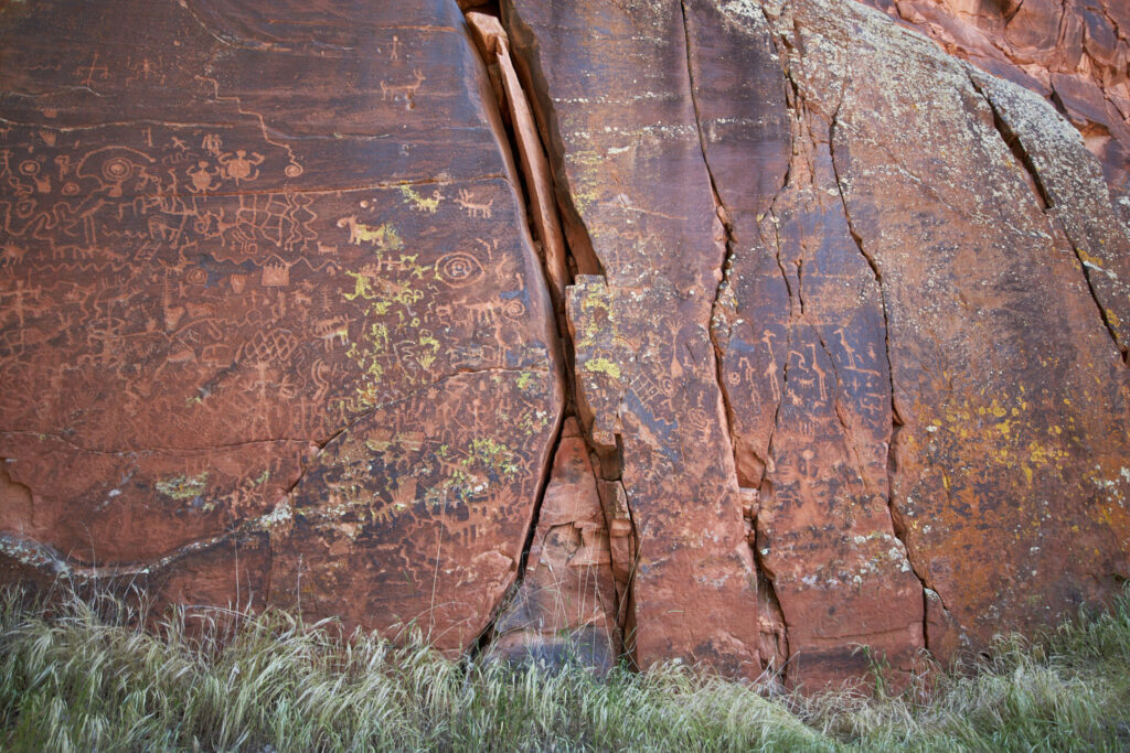 Crane petroglyph (v bar v ranch)