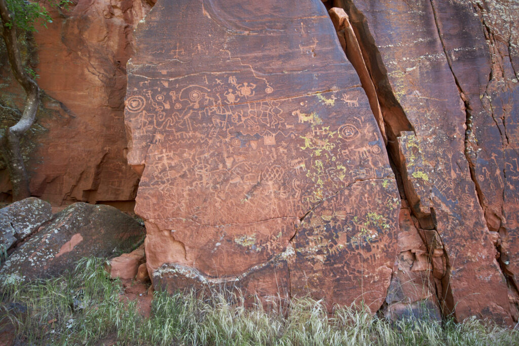 Crane petroglyph (v bar v ranch)