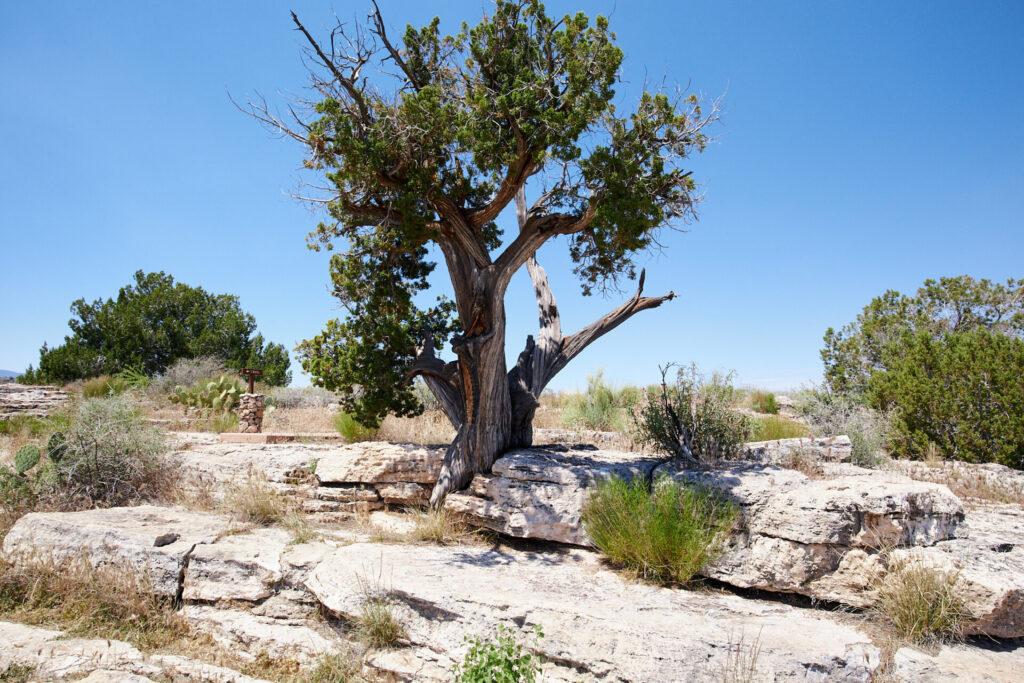 Montezuma well