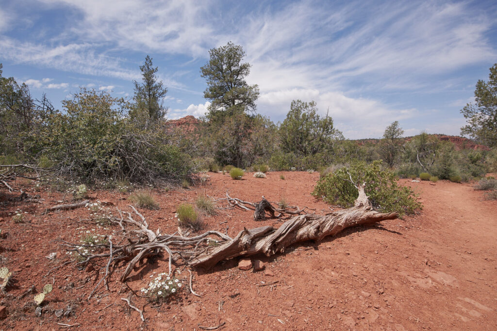 Red rock state park