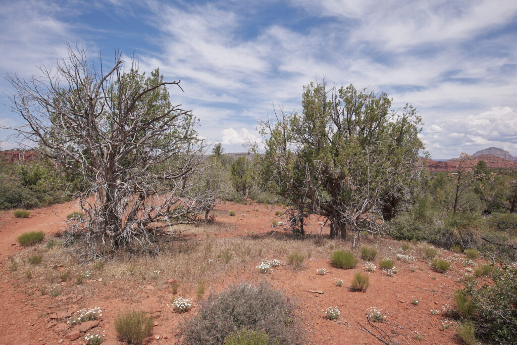 Red rock state park