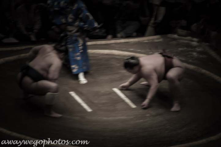 Sumo Wrestling