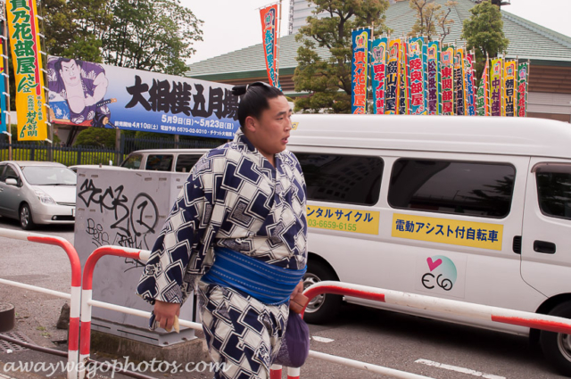 Sumo Wrestling