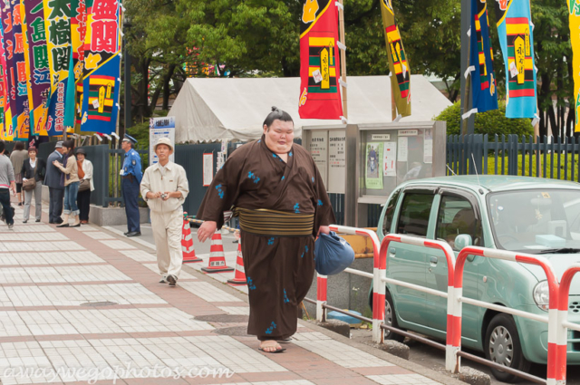 Sumo Wrestling