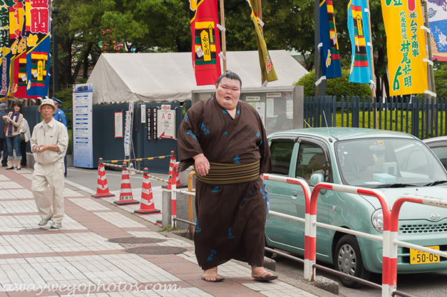 Sumo Wrestling