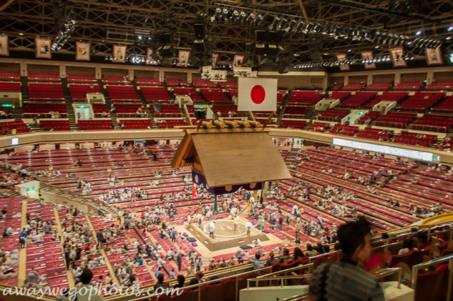 Sumo Wrestling