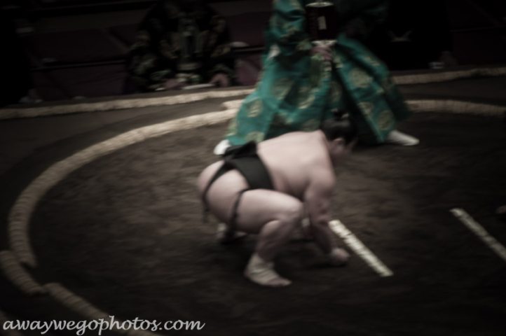 Sumo Wrestling