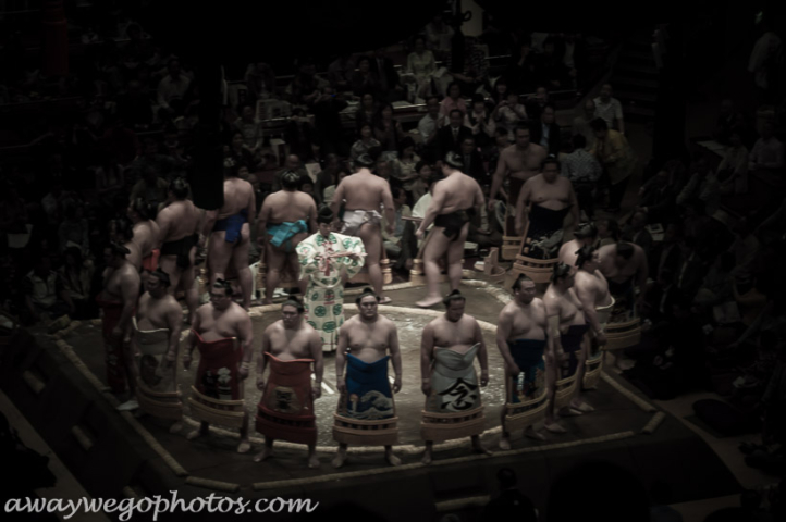 Sumo Wrestling