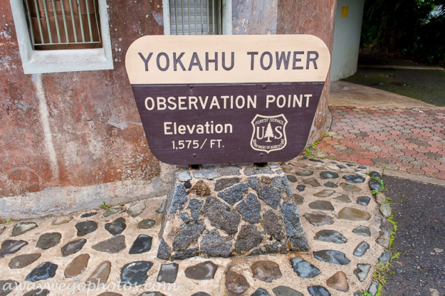 Yokahú Tower - El Yunque National Forest