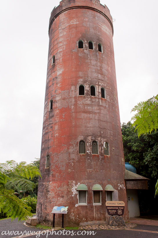 Yokahú Tower - El Yunque National Forest