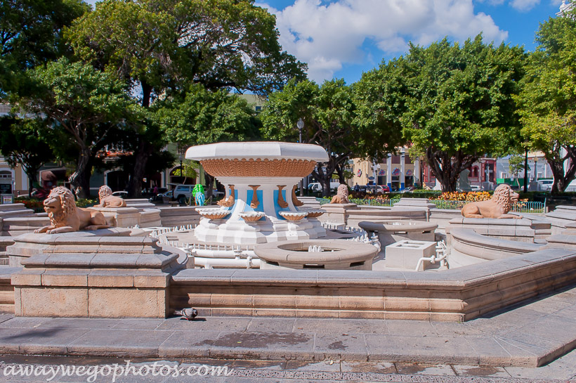 Roaring Lions in Ponce